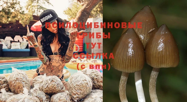 гашиш Аркадак