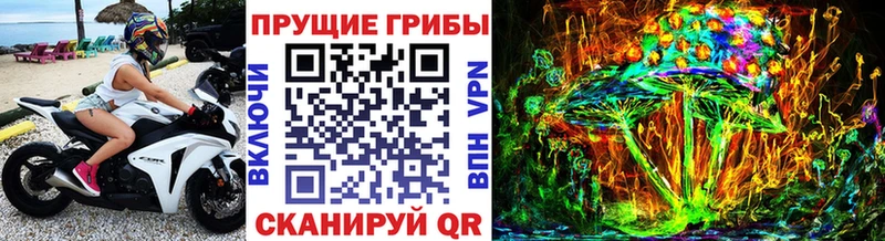KRAKEN сайт  купить наркотики сайты  Фокино  Псилоцибиновые грибы Psilocybine cubensis 
